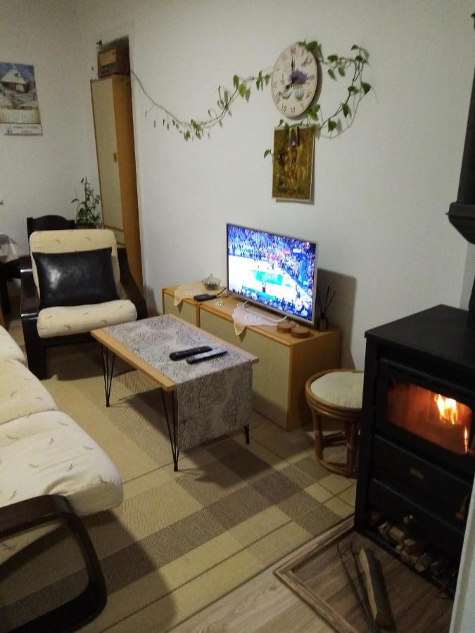 Vila I Apartment Niska Banja Bagian luar foto