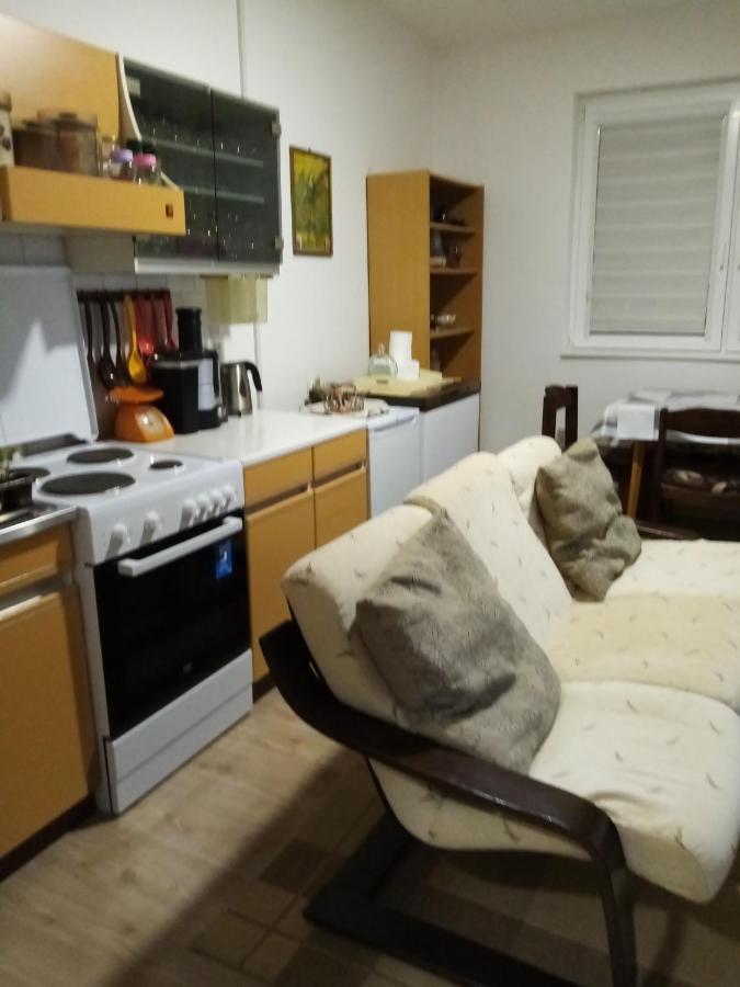 Vila I Apartment Niska Banja Bagian luar foto