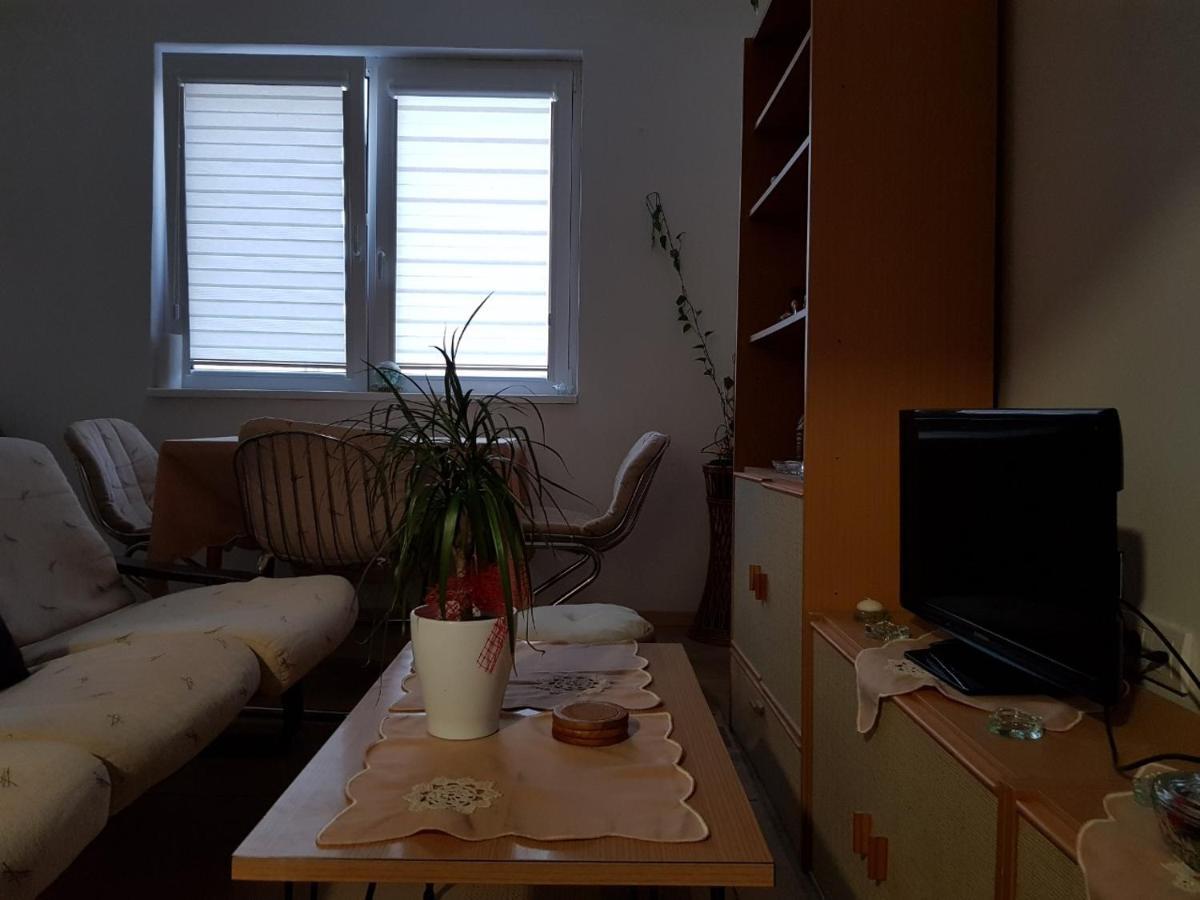 Vila I Apartment Niska Banja Bagian luar foto